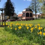 Anecdotal tour through Bad Frankenhausen - FAQs