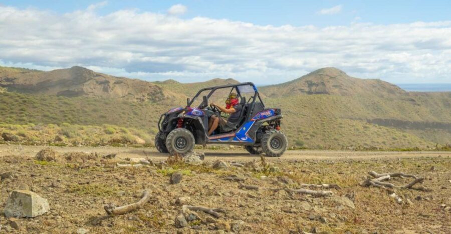 Anfi beach: Guided Buggy Tour. - The Value of This Experience