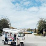 Angers : Explore the City Center by Electric Tuk-Tuk - Who Will Love This Tour?