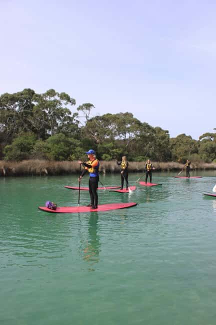Anglesea: Stand-Up Paddleboard Lesson on the River - Who Should Consider This Tour?