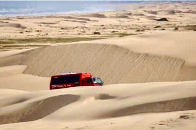 Anna Bay and Nelson Bay NSW tours like Dubai safari experience - A Deep Dive into the Experience