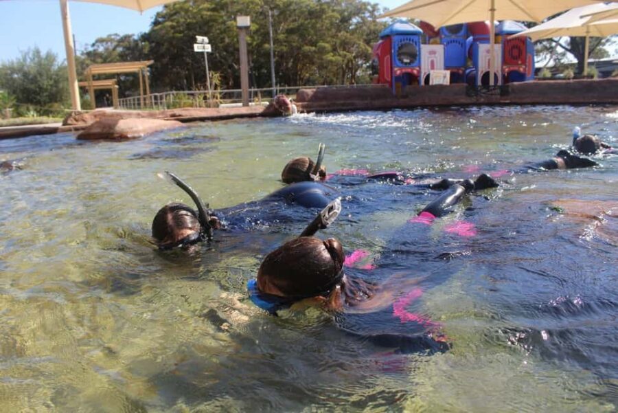 Anna Bay: Irukandji Entry + Coastal Currents Snorkel - The Experience in Detail: What You Can Expect from Start to Finish