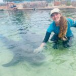 Anna Bay: Irukandji Entry Pass with Reef Shark Encounter - An In-Depth Look at the Reef Shark Encounter Experience