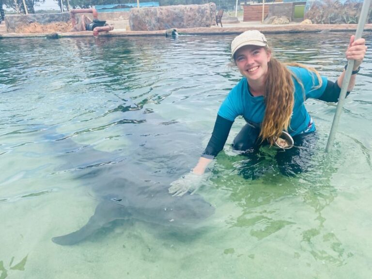 Anna Bay: Irukandji Entry Pass with Reef Shark Encounter - An In-Depth Look at the Reef Shark Encounter Experience