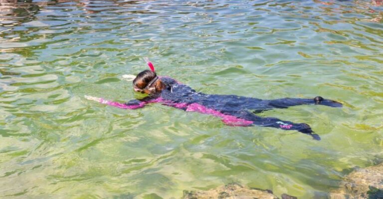 Anna Bay: Irukandji Entry Pass with Reef Shark Snorkel - Why It’s Worth Consideration