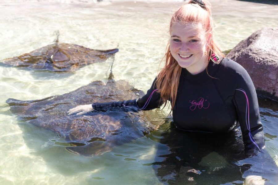 Anna Bay: Irukandji Entry Pass with Shallows Encounter - A Closer Look at the Experience
