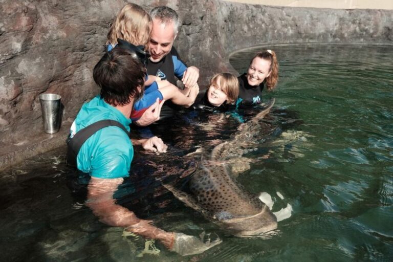 Anna Bay: Irukandji Entry Pass with Zebra Shark Encounter - An In-Depth Look at the Experience