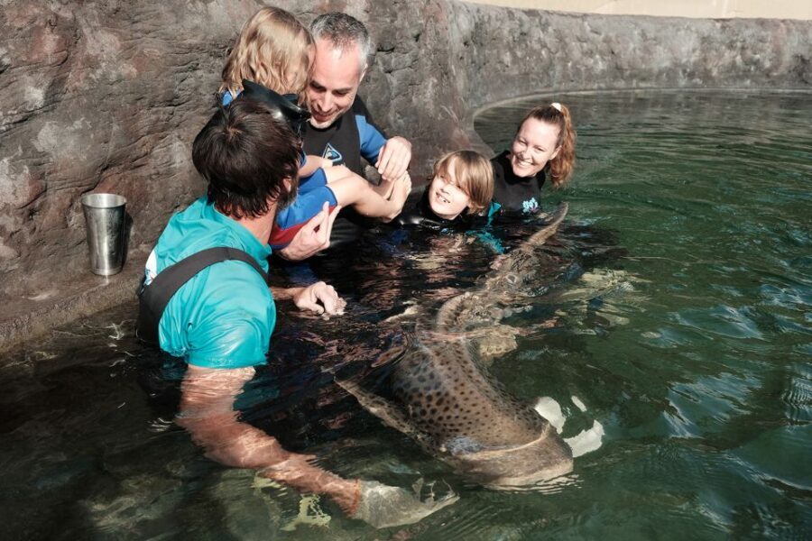 Anna Bay: Irukandji Entry Pass with Zebra Shark Encounter - An In-Depth Look at the Experience