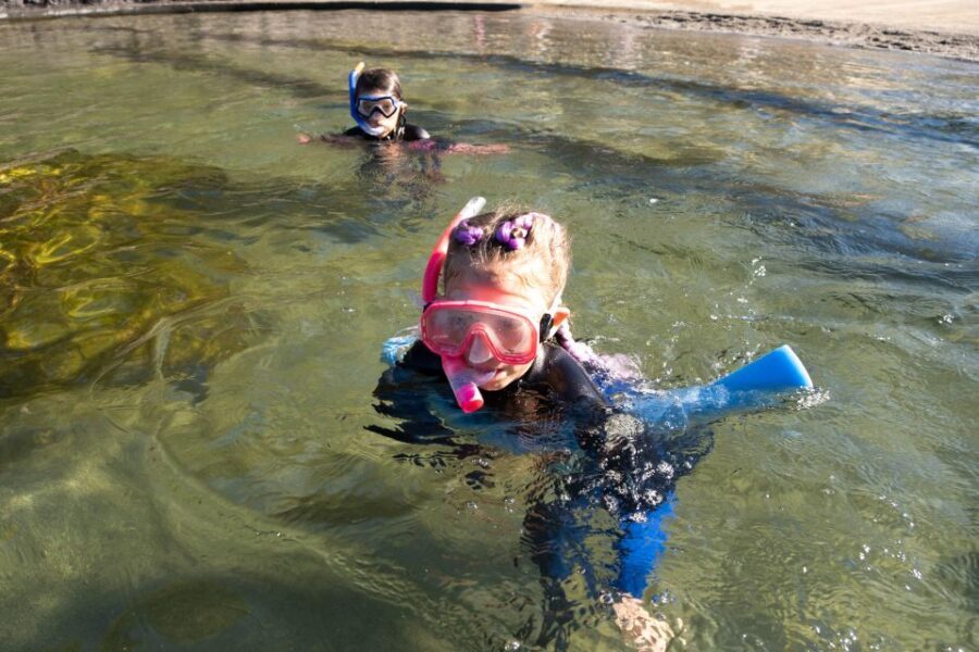 Anna Bay: Irukandji Entry with Zebra Shark Snorkel - Why This Tour Works Well