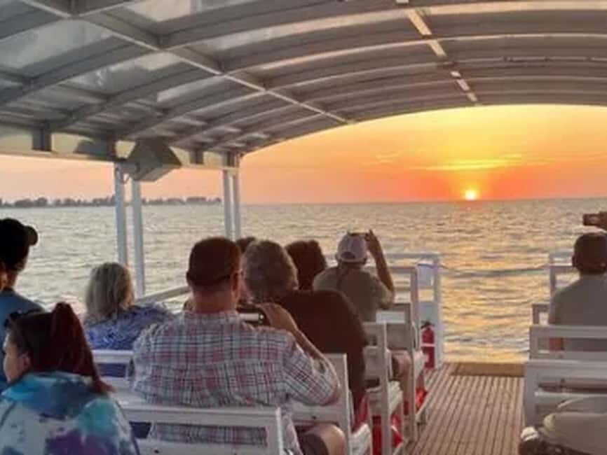 Anna Maria Island: Sunset Dolphin Cruise - Why This Tour Offers Great Value