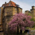 Annual Admission Newcastle Castle Ticket - Practical Considerations