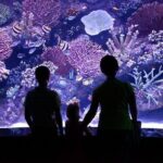 Antalya Aquarium and Face to Face Wax Museum Ticket - The Sum Up: Is This Tour Right for You?