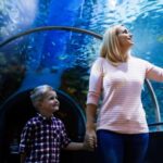 Antalya: Aquarium and Wax Museum Entry Ticket - What’s Included and Practical Details