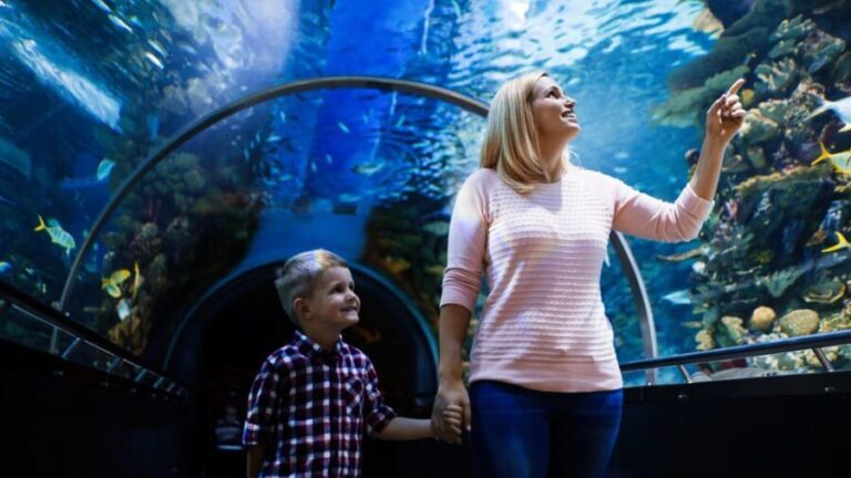Antalya: Aquarium and Wax Museum Entry Ticket - What’s Included and Practical Details