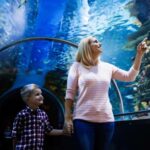 Antalya: Aquarium, Wax Museum, Snow World & Wild Park Ticket - The Wax Museum: Quirky and Fun