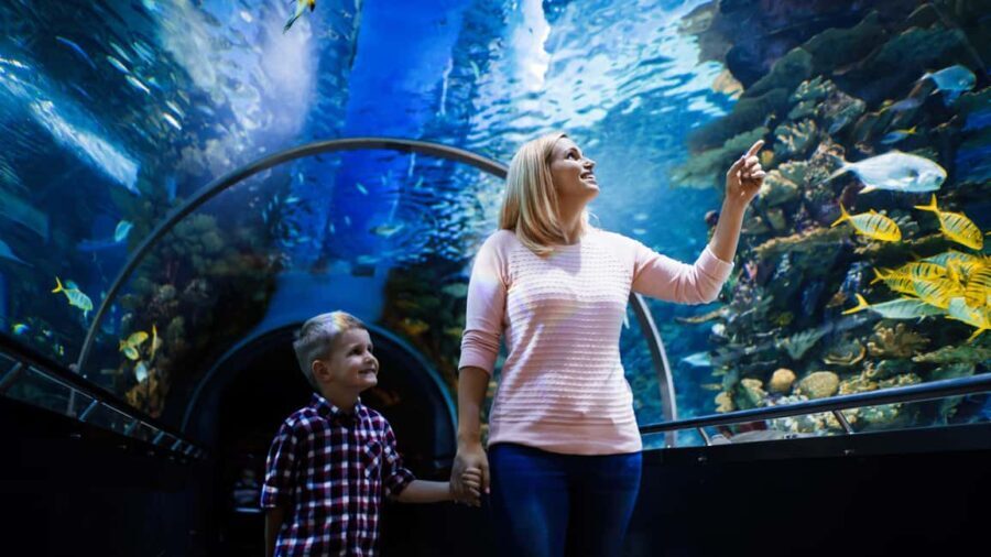 Antalya: Aquarium, Wax Museum, Snow World & Wild Park Ticket - The Wax Museum: Quirky and Fun