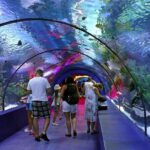 Antalya Aquarium, Wax Museum, Snow World, Wild Park, XD Cinema - Practical Details and Traveler Tips