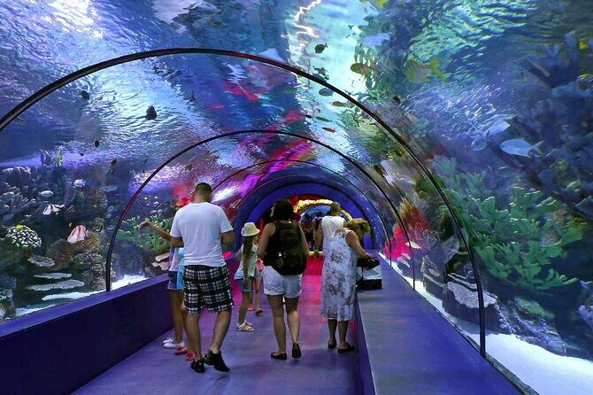 Antalya Aquarium, Wax Museum, Snow World, Wild Park, XD Cinema - Practical Details and Traveler Tips