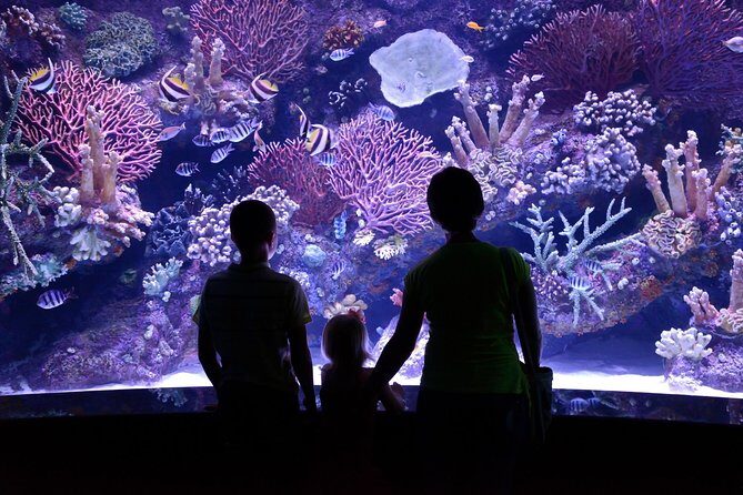 Antalya: Aquarium, Wax Museum, Snow World, Wild Park, XD Cinema - Snow World: An Indoor Snow Park