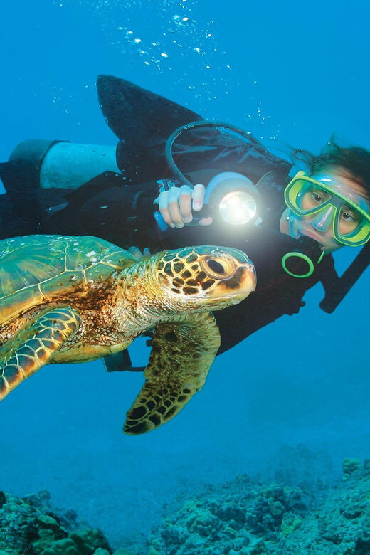 Antalya/ Belek Scuba Diving Tour With 2 Time Dive & Lunch - Authentic Traveler Insights