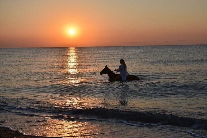 Antalya Horse Riding On Beach And Through The Forests For 2 Hours - Forest Trails and Pine Groves: A Cool Contrast