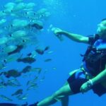 Antalya/ Kemer/ Belek Scuba Diving With Lunch & Transfer - The Details Behind the Experience