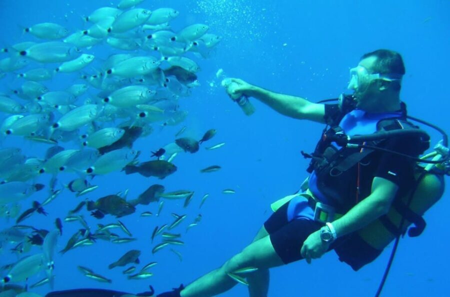 Antalya/ Kemer/ Belek Scuba Diving With Lunch & Transfer - The Details Behind the Experience