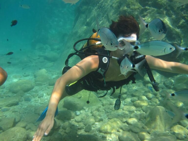 Antalya/Kemer: Scuba Diving Experience with Lunch & Pick up - Authentic Experiences and Real Feedback
