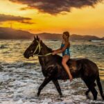 Antalya: Lara Beach & Forrest Horse Riding Safari - Why You Might Want to Book This Experience