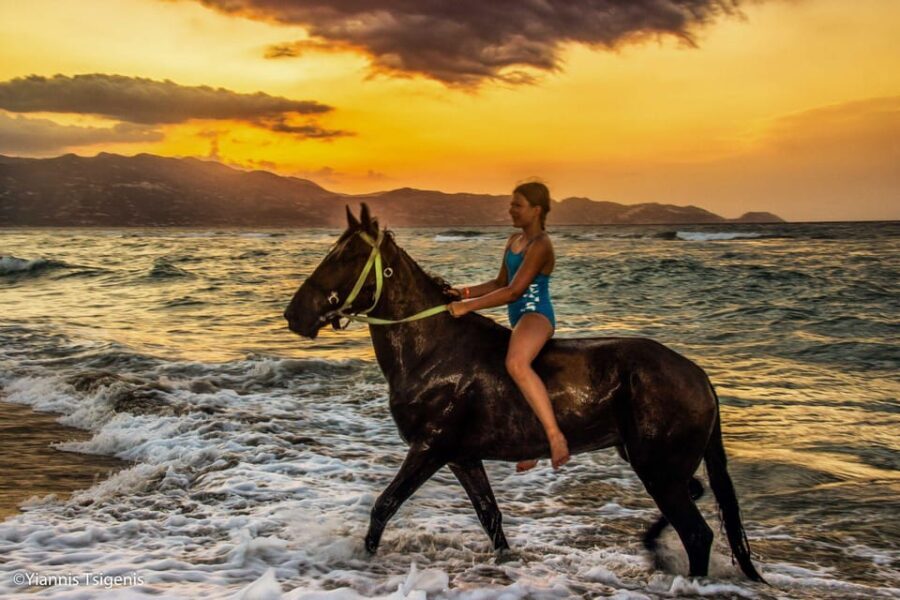 Antalya: Lara Beach & Forrest Horse Riding Safari - Why You Might Want to Book This Experience