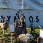 Antalya: Olympos Cable Car & Tahtali Mountains with Transfer - The Value and Practical Considerations