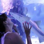 Antalya Tunnel Aquarium - Departure from Side - A Detailed Look at the Tour Experience