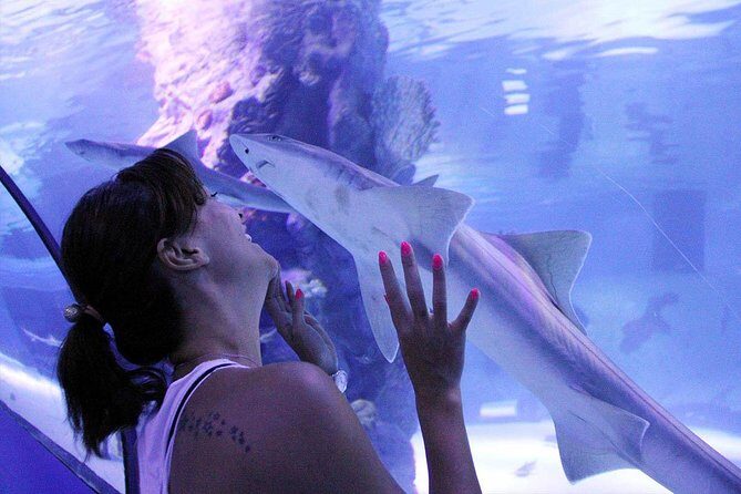 Antalya Tunnel Aquarium - Departure from Side - A Detailed Look at the Tour Experience