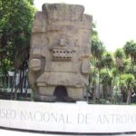 Anthropology Museum Private Experience Walking Tour - Exploring the Museum: What to Expect