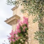 Antibes: Express Walk with a Local in 60 minutes - What the Reviews Say