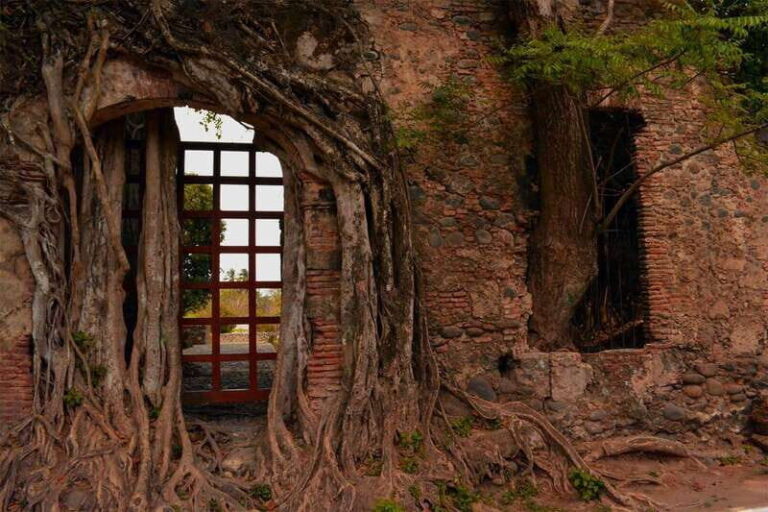 Antigua and Cempoala Tour from Veracruz - Colonial Echoes in Antigua: A Walk Through History