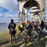 Antwerp: City Highlights Guided Bike Tour - Who Should Consider This Tour?