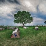 ANZAC Dawn Service Tour From Istanbul - Final Thoughts