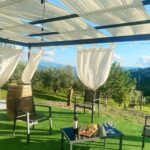 Aperitivo e degustazione di vini in vigna alla Cantina Sacco - FAQs