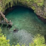 Apia Port - Cruise Ship Guests Only! - What Makes This Tour Stand Out