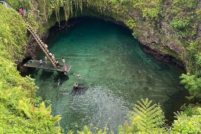 Apia Port - Cruise Ship Guests Only! - What Makes This Tour Stand Out