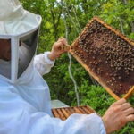 Apiary Tour (Bee tour) also Archeological site and salt Pond - FAQ