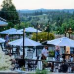 Apple Hill/Carson Road Digital Wine Tasting Passport - Exploring the Wineries and the Experience