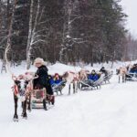 Apukka Reindeer Journey - Breaking Down the Experience