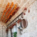 Apulia: Guided Vineyard Tour with Wine Tasting - Why This Tour Is a Great Choice