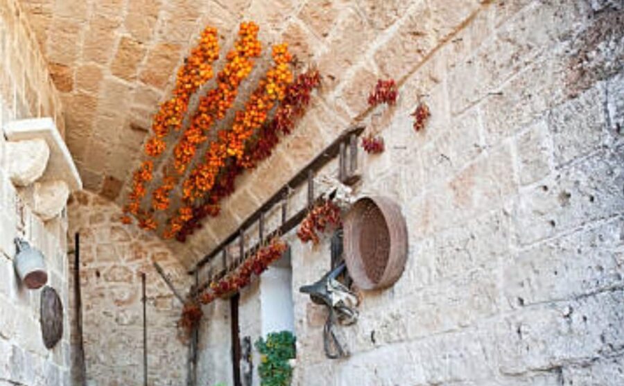 Apulia: Guided Vineyard Tour with Wine Tasting - Why This Tour Is a Great Choice