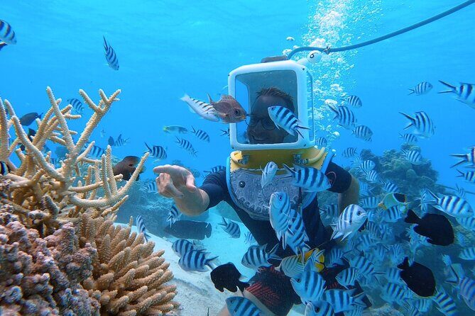 Aqua Safari Introductory Helmet Dive (Underwater Walk) - FAQ