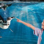 Aquarium of Cattolica Entry Ticket - A Detailed Look at the Aquarium of Cattolica Experience