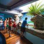 Aquarium Package in Nouméa's with Admission with Hop-on Hop-Off - Who Will Enjoy This Tour?