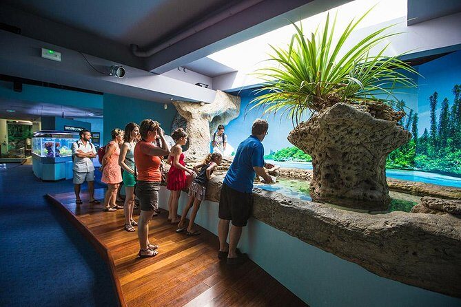 Aquarium Package in Nouméa's with Admission with Hop-on Hop-Off - Who Will Enjoy This Tour?